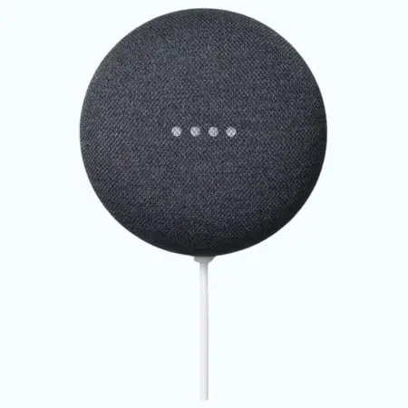 Google Nest Mini