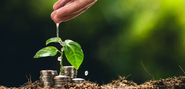 Saving Water in the Garden